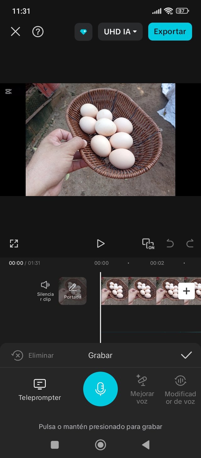 1000209263.jpg