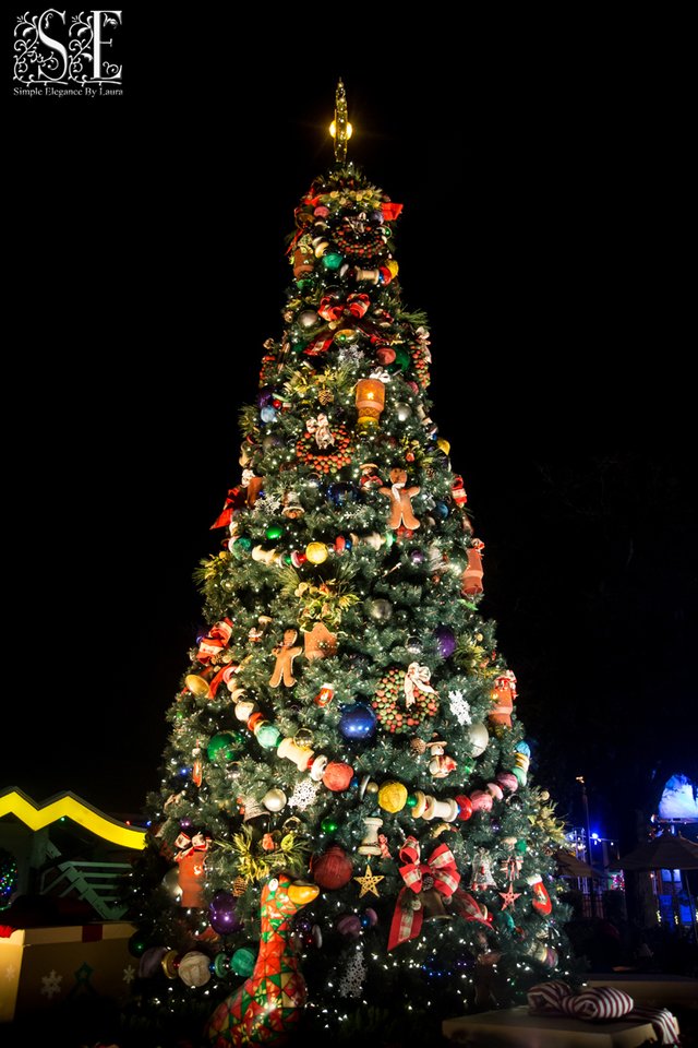 Downtown Disney Christmas (2).jpg