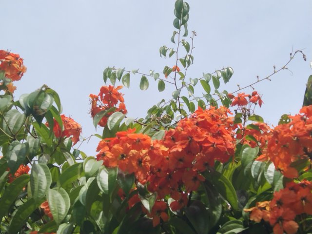 IMG_20250601_122401.jpg