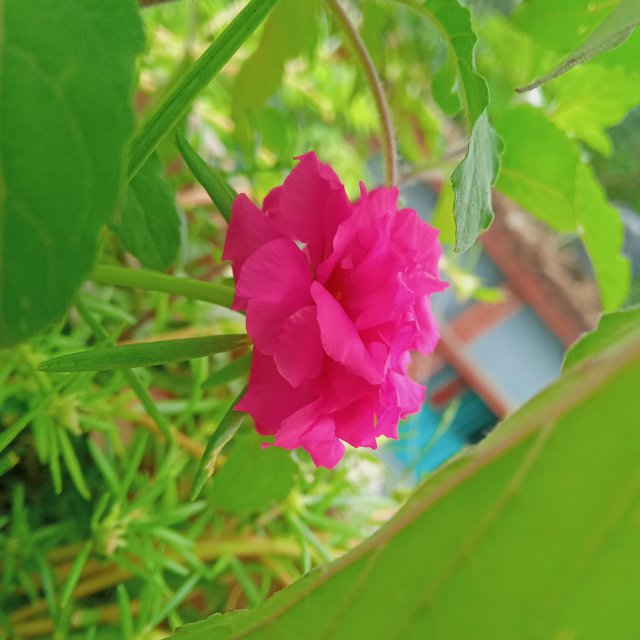 IMG20240924123305_01.jpg
