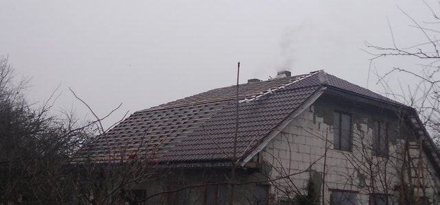 roof01.jpg