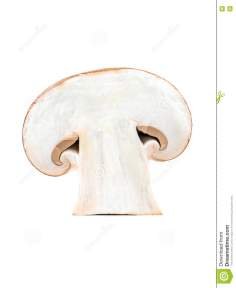 half-champignon-mushroom-cut-fresh-isolated-white-background-71135957.jpg