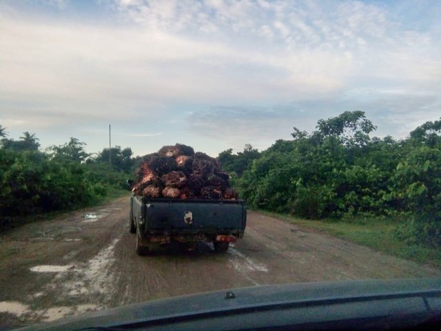 IMG-20210427-WA0026-01.jpeg