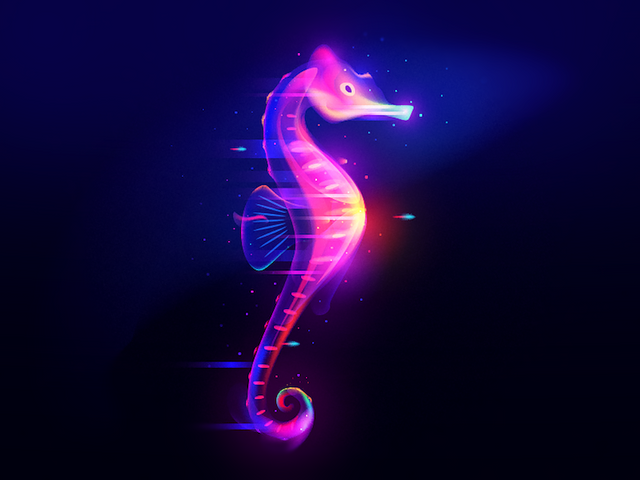 seahorse.png