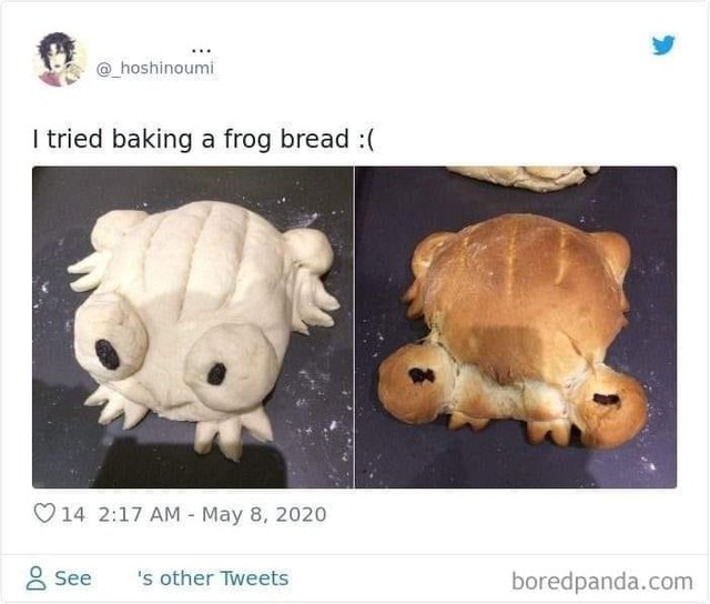 animal-_hoshinoumi-tried-baking-frog-bread-14-217-am-may-8-2020-see-s-other-tweets-boredpandacom.jpg