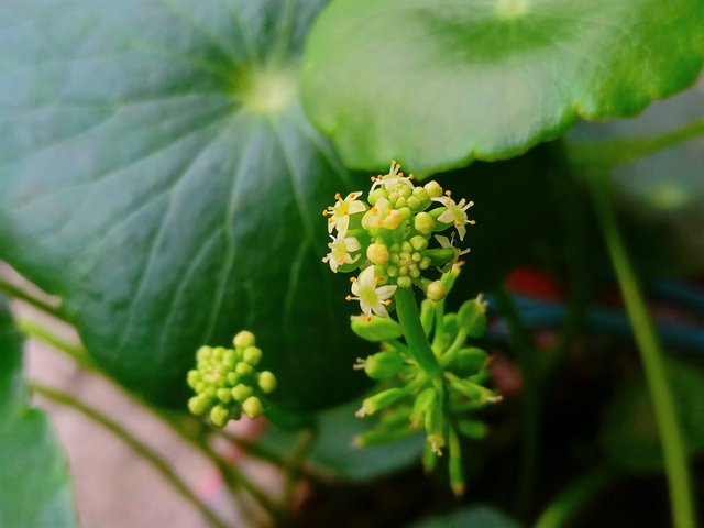 20250604_121721.jpg