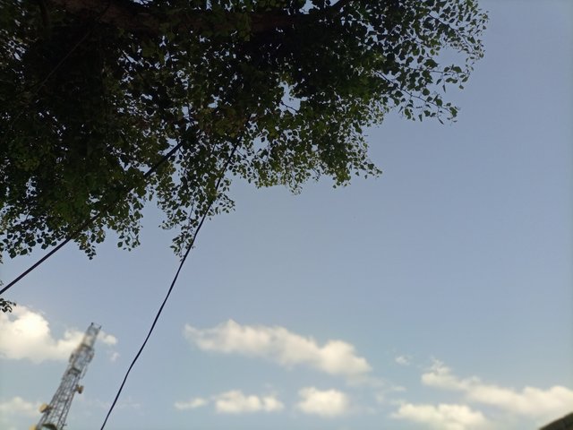 IMG_20250603_054050_485.jpg