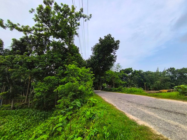 IMG_20250706_063824.