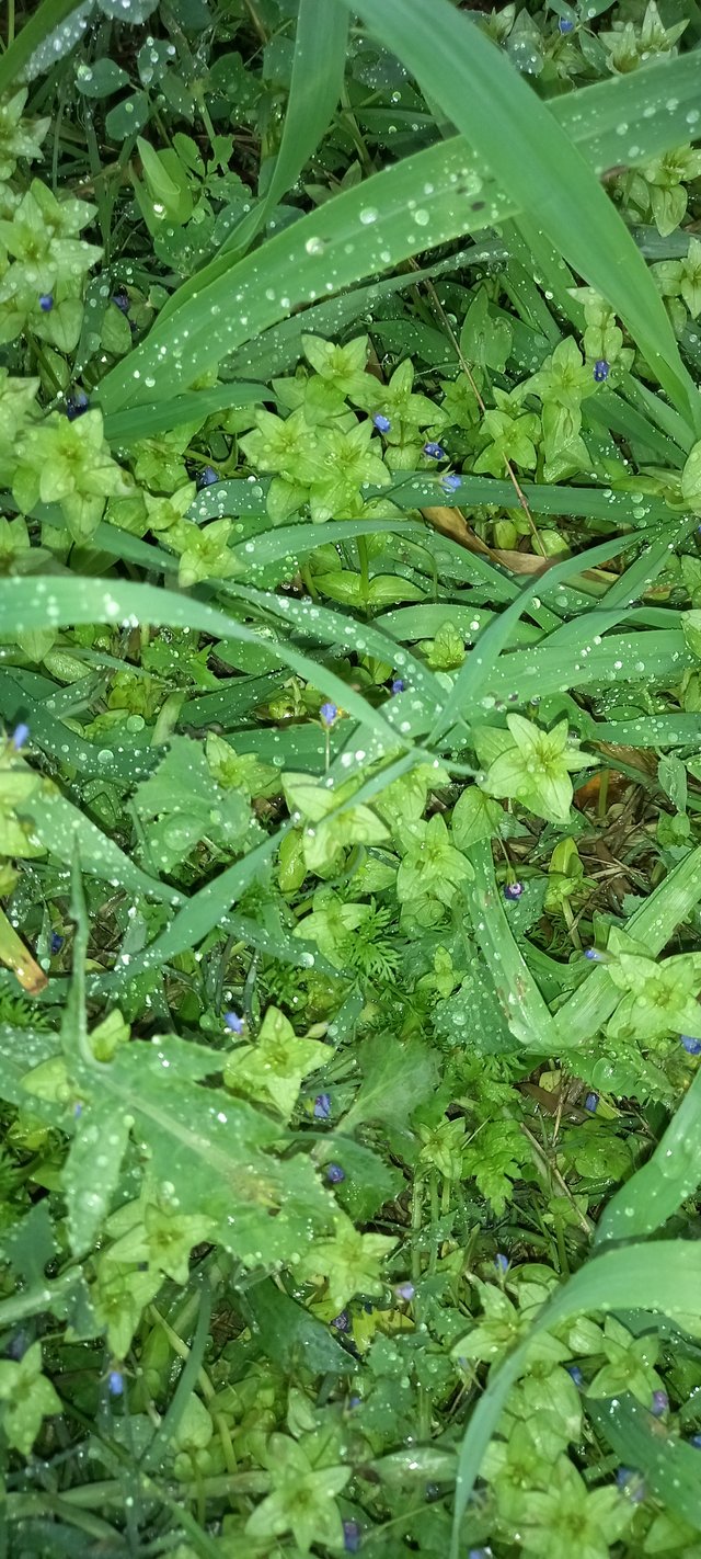 20250225_100917.jpg