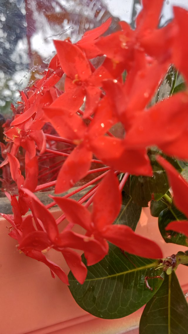 IMG20250325080339.jpg