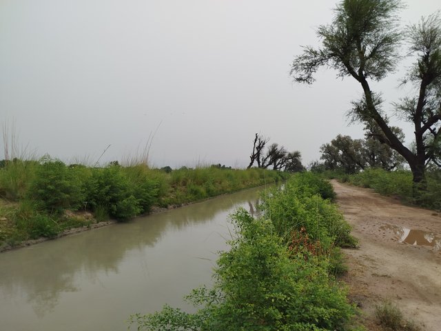 IMG_20250622_110310.jpg