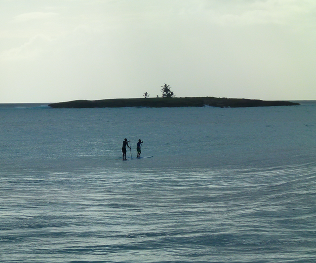 Capture d’écran 2018-11-21 à 08.18.30.png