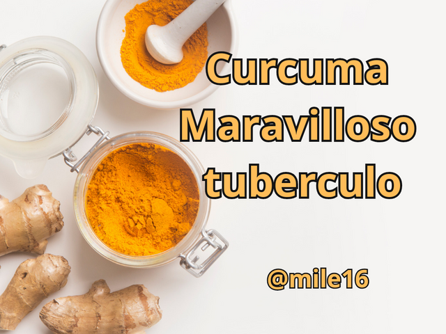 Curcuma Maravilloso tuberculo_20240425_232201_0000.png