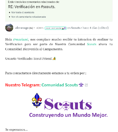 verificación scouts.png