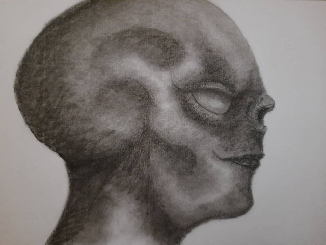 20250623_105055.jpg