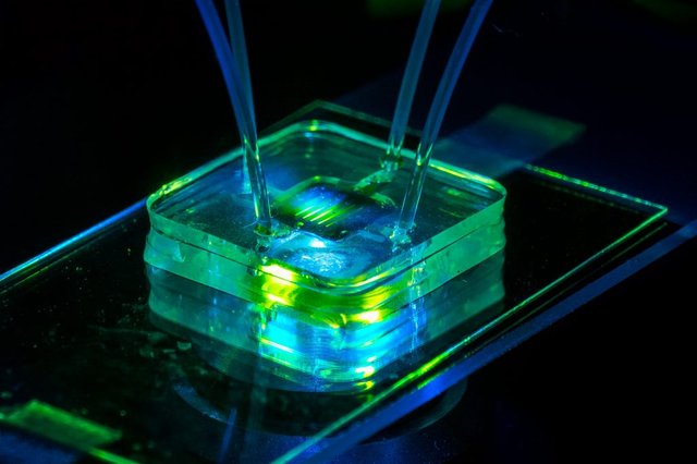 Materials-for-Microfluidic-Chips-Fabrication-1024x682.jpg