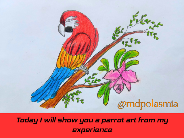 Today I will show you a parrot art from my experience._20250621_132235_0000.png