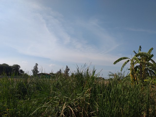 countryside view16.jpg