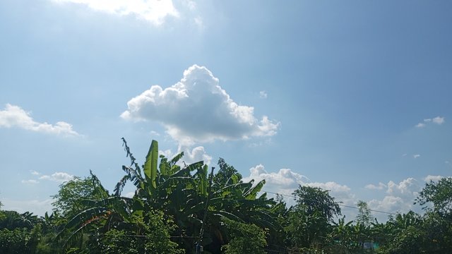 IMG_20240829_145443_1.jpg