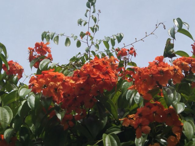 IMG_20250601_122402.jpg