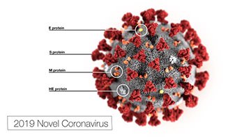 novel-coronavirus-1 CDC.jpg