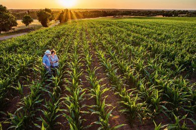 top-view-farmer-his-wife-260nw-684006205.jpg