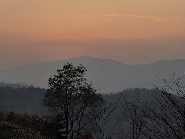 20201115_170933.jpg