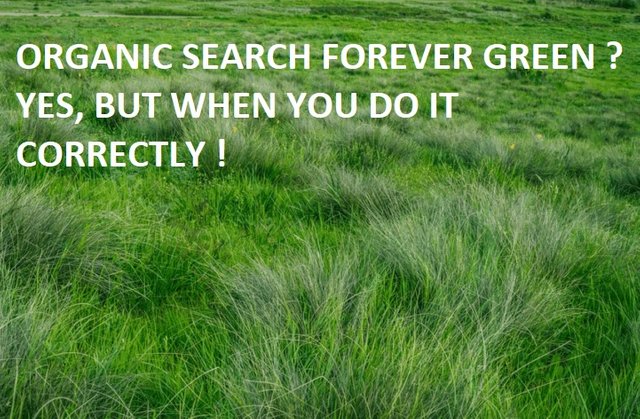 organic search marketing forever green.jpg