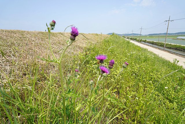 b-DSC03727.JPG