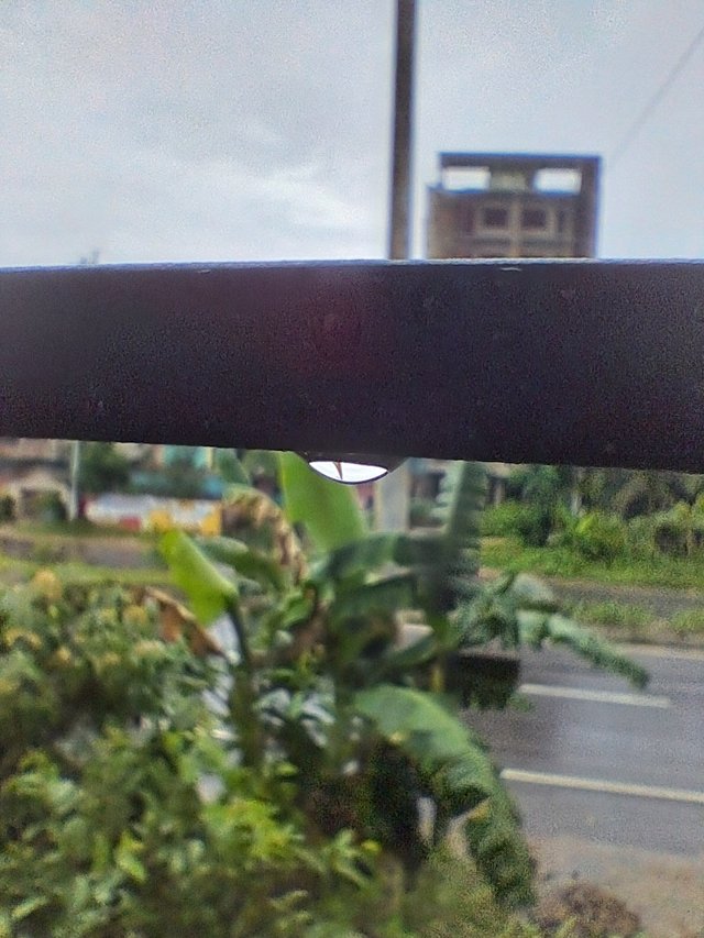 20250528_142430.jpg