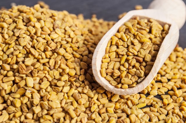 Fenugreek.jpg