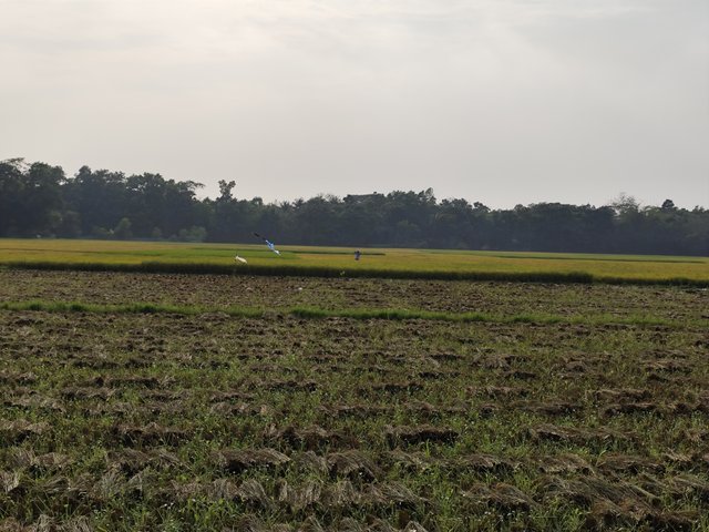 IMG_20250404_162847.jpg