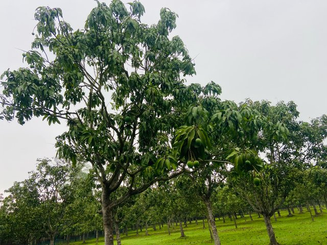 IMG-20250422-WA0001.jpg