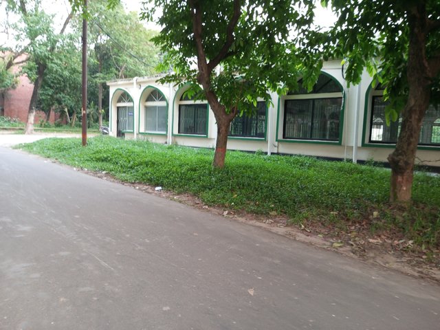 IMG_20240531_182051_380.jpg