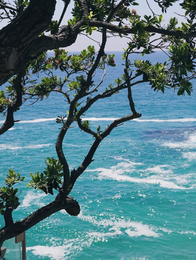 🌊永远会被Laguna的蓝，美到心颤。_8_为什么美术馆_来自小红书网页版.jpg