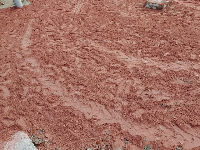 1000046705.jpg