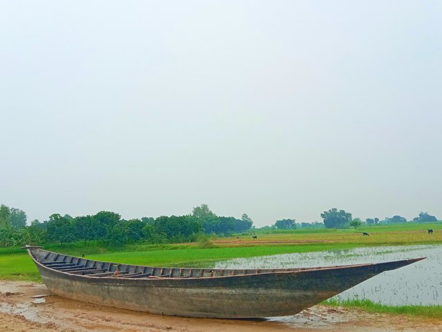 IMG_20250803_064415.jpg