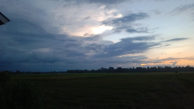 IMG_20250429_183059.jpg