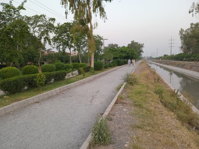 20250619_052626.jpg