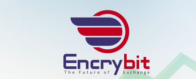 Encrybit-survey.png