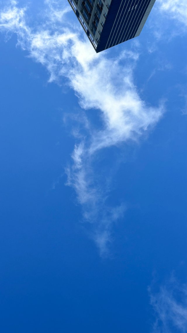 IMG_1599.jpeg