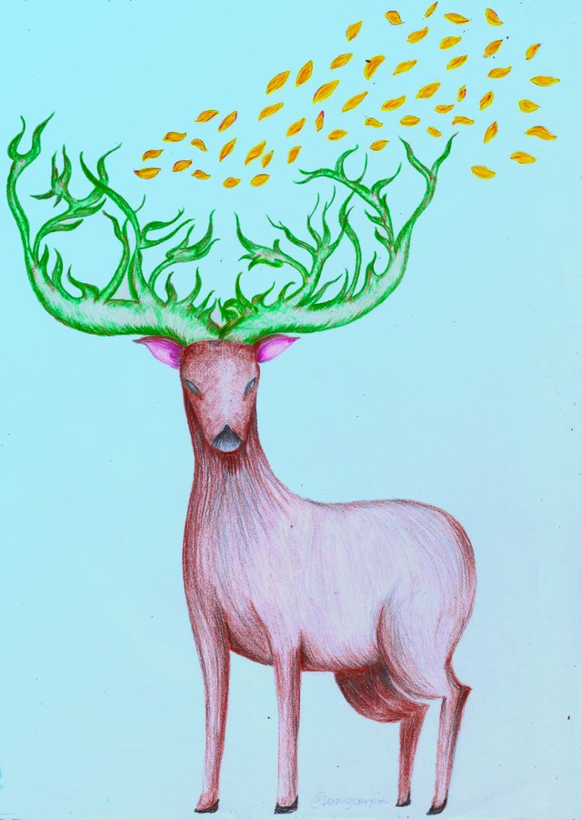 venado.jpg
