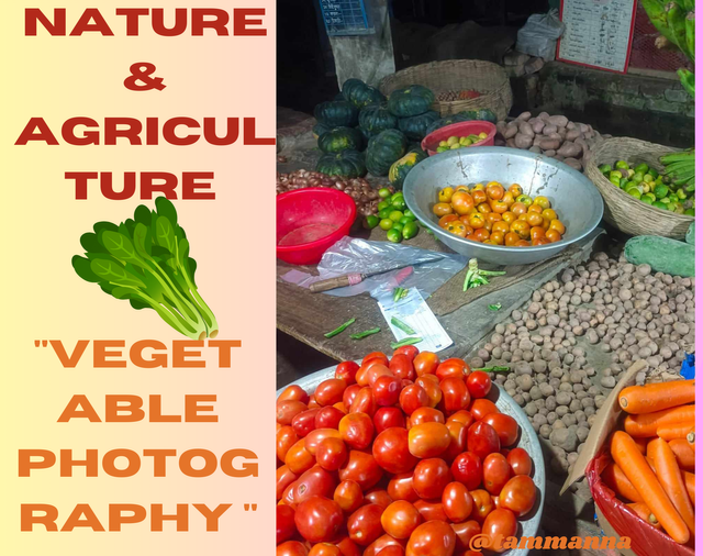 Vegetable Photography .png