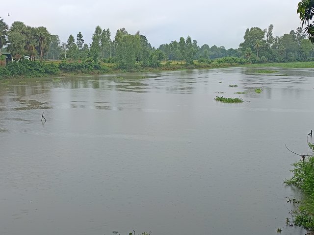 1000015187.jpg