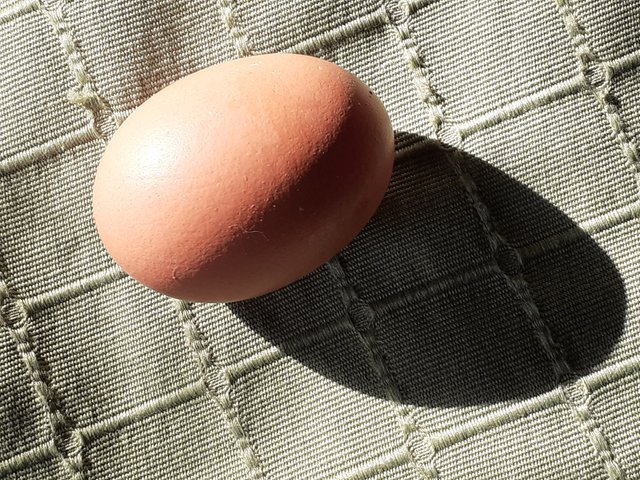 20241106_114637.jpg