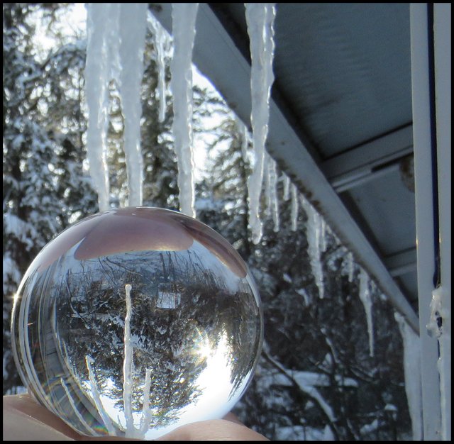 snowy pines and icicles reflected in cyrstal globe in my hand.JPG
