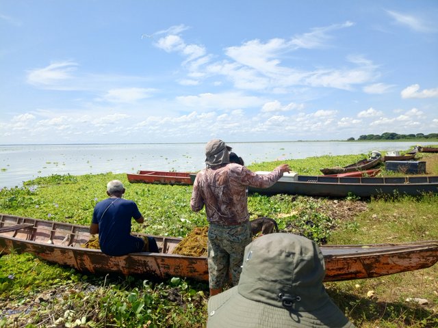 IMG_20251005_104100_098.jpg