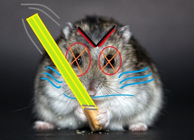 HAMSTERLORIABEWOHNERKriegsmodus.jpg