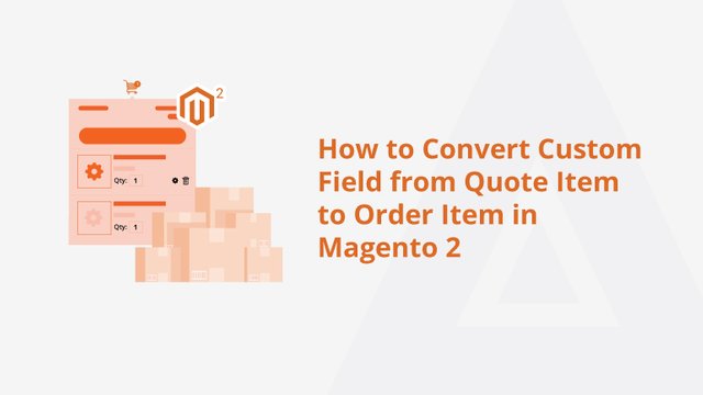 How-to-Convert-Custom-Field-from-Quote-Item-to-Order-Item-in-Magento-2-Social-Share.jpg