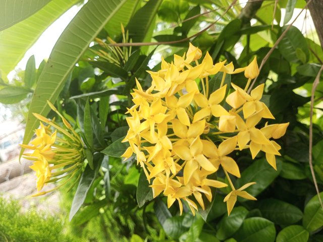 IMG_20250626_131630_668.jpg